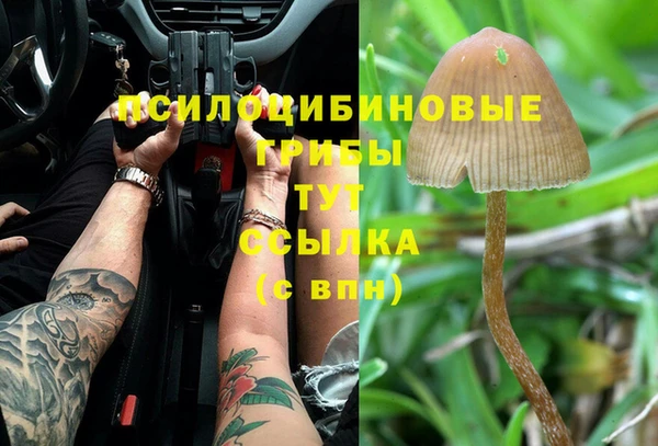 меф Балахна