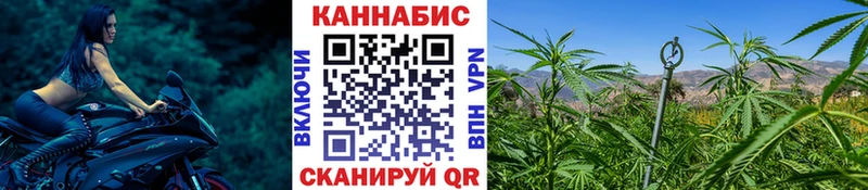 как найти   Кубинка  Канабис Ganja 